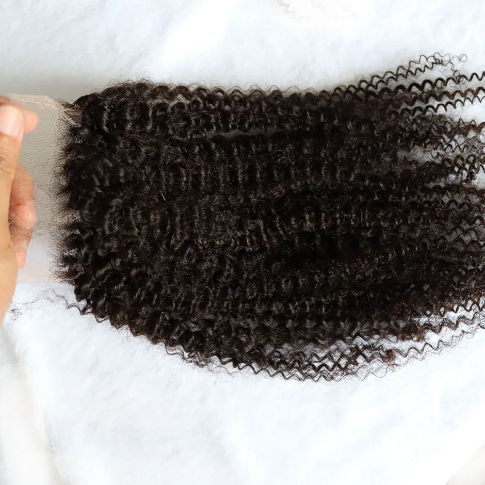 Afro Kinky Curly 13x4,13x6,5x5,4x4 Lace
