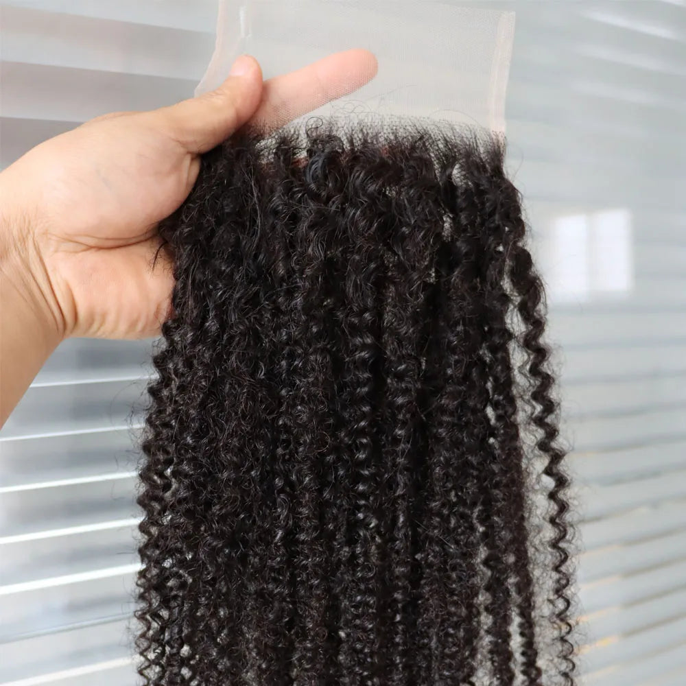 Afro Kinky Curly 13x4,13x6,5x5,4x4 Lace