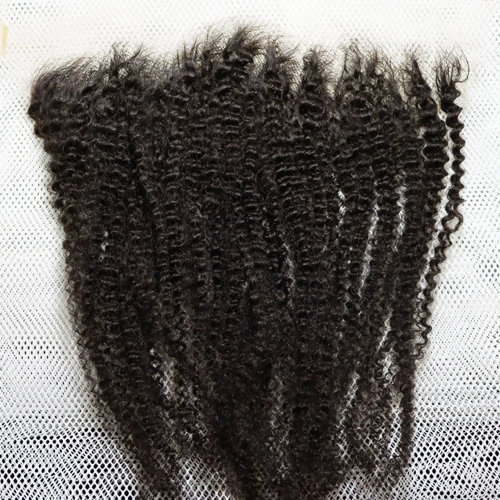 Afro Kinky Curly 13x4,13x6,5x5,4x4 Lace