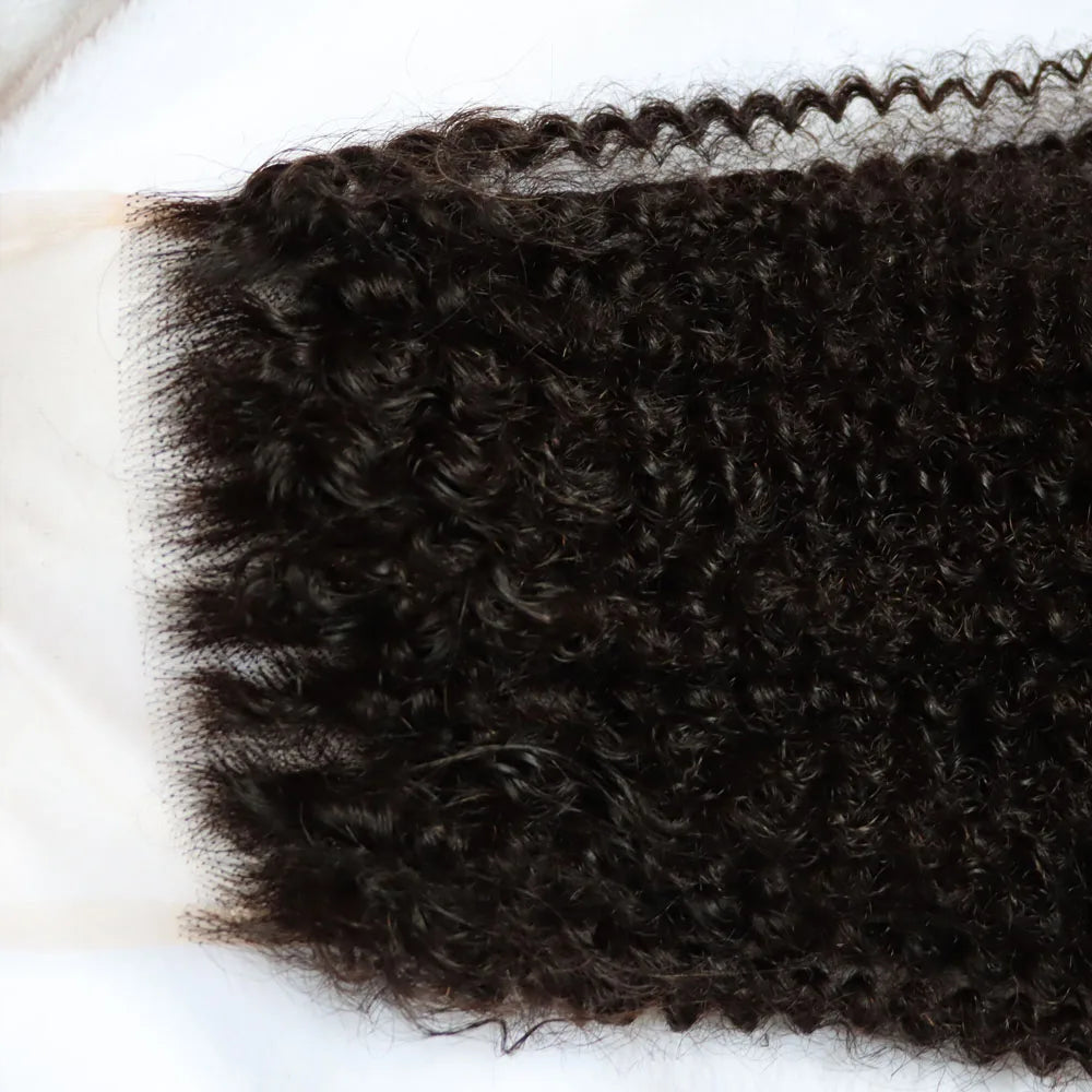 Afro Kinky Curly 13x4,13x6,5x5,4x4 Lace
